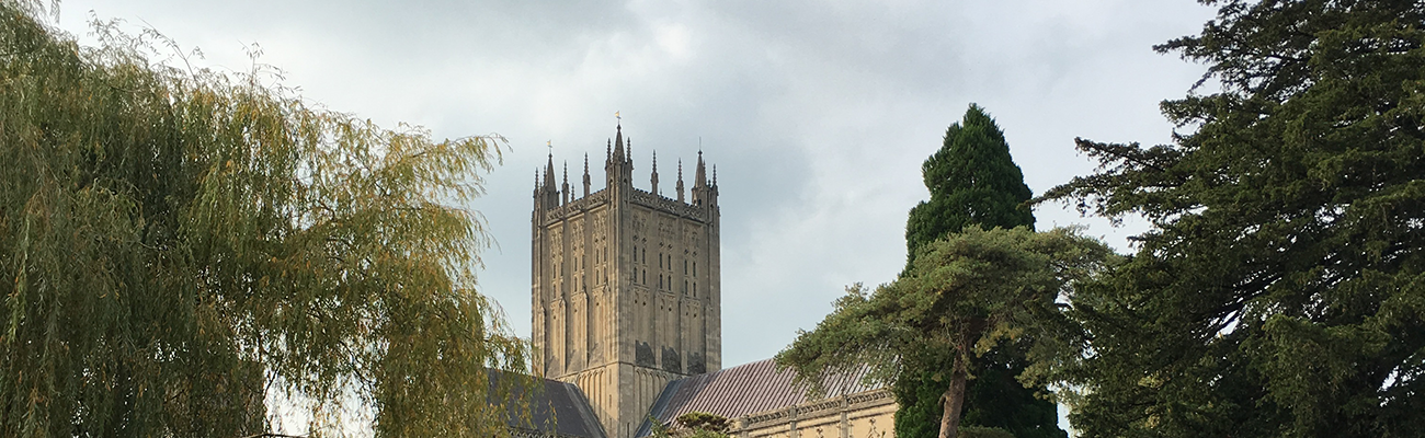 Image of Wells Cathedral with trees and grey sky
