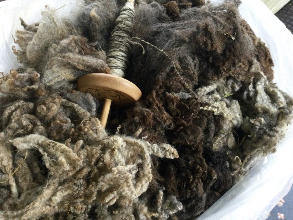 a wooden spindle partly filled with spun wool sits in a bed of unspun gray fleece.