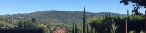 A landscape photo of Tuscany