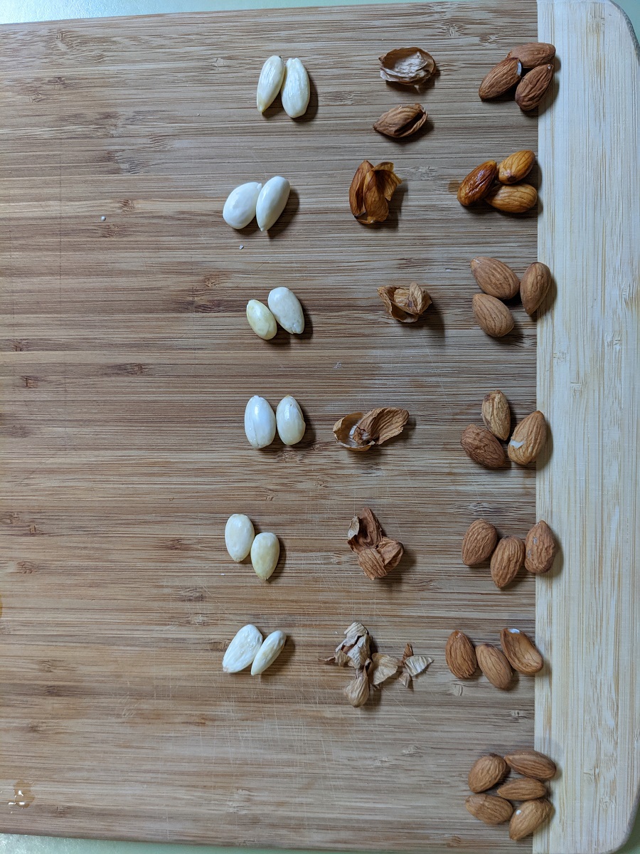 6 rows of almonds with a column of peels and column of peeled almonds