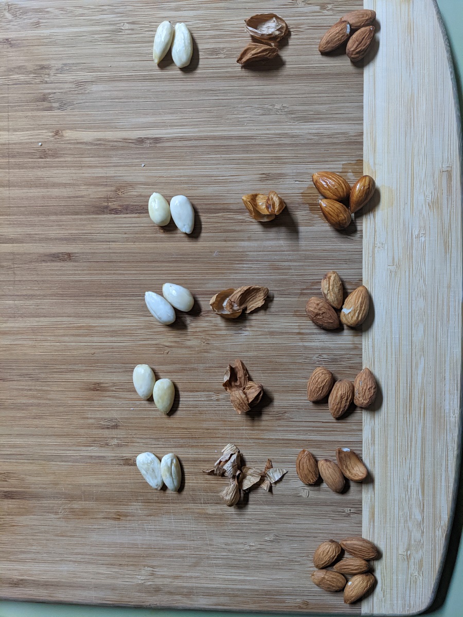 5 rows of almonds left most column are peeled, middle row are peels, and right most are soaked. the bottom row contains raw almonds for comparison