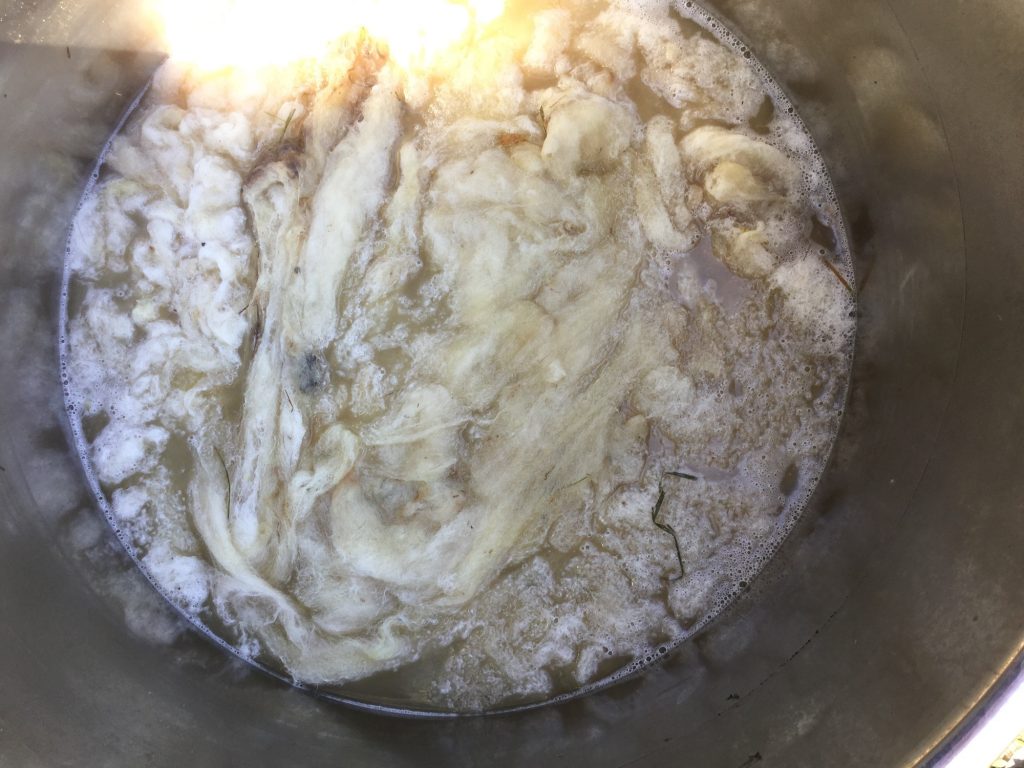 white curly wet fleece in a bucket of water