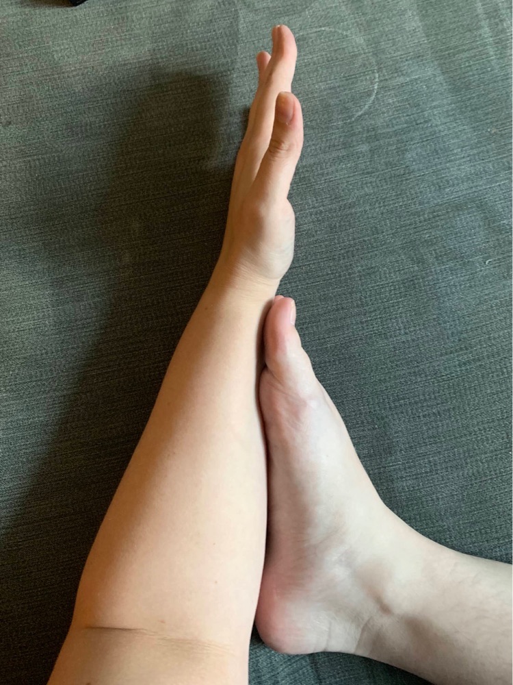 Foot next to fore arm showing they are the same length
